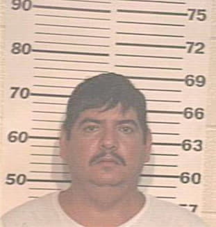 Martinez Antonio - Hidalgo County, TX 