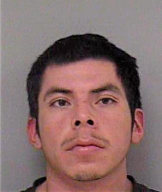 Gonzalez Adan - Madera County, CA 