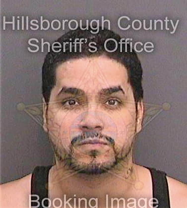 Vega Jorge - Hillsborough County, FL 