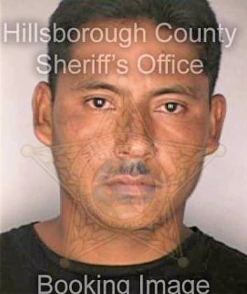 Guerrero Mario - Hillsborough County, FL 