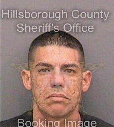 Fonsecamartinez Hector - Hillsborough County, FL 