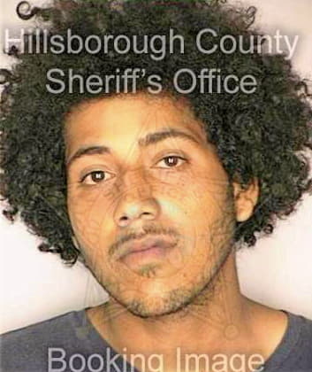 Gonzalez Heriberto - Hillsborough County, FL 