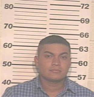 Lopez Francisco - Hidalgo County, TX 