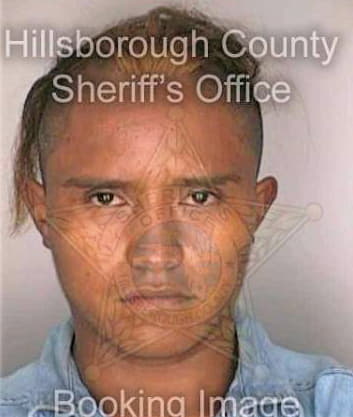 Gonzalezperez Manolo - Hillsborough County, FL 