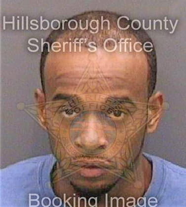 Richardson Demetrius - Hillsborough County, FL 