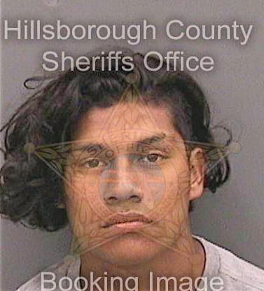 Bocanegaabarca Ambrocio - Hillsborough County, FL 