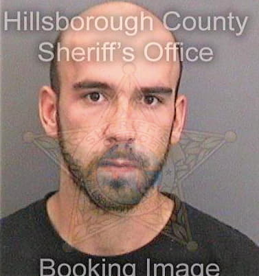 Bobilin Robert - Hillsborough County, FL 