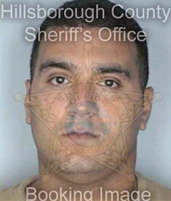 Espinosa Raymond - Hillsborough County, FL 