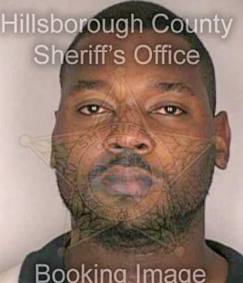 Fortson Anthony - Hillsborough County, FL 