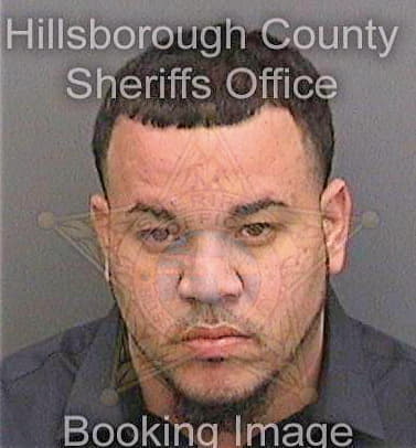 Pizarro Carlos - Hillsborough County, FL 