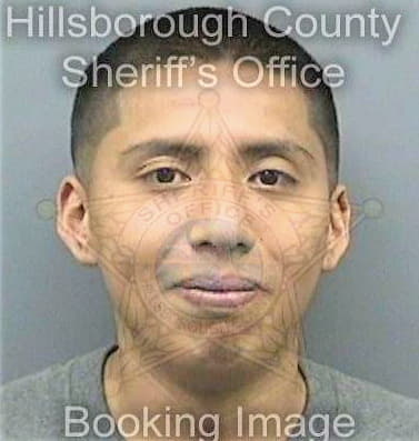 Pantigoso Emilio - Hillsborough County, FL 