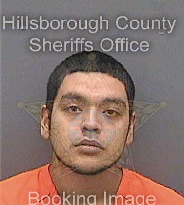 Calzada Juan - Hillsborough County, FL 