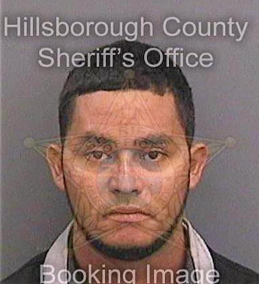 Nunezrivera Santos - Hillsborough County, FL 