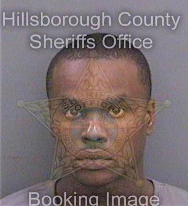 Hollinger Alexander - Hillsborough County, FL 