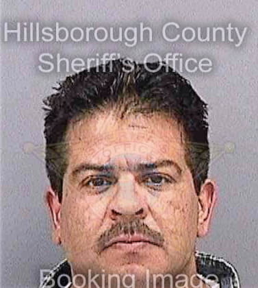 Navarrete Luis - Hillsborough County, FL 