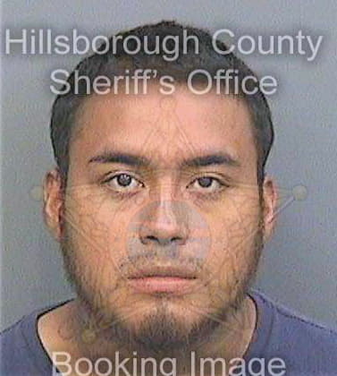 Hernandez Anastacio - Hillsborough County, FL 