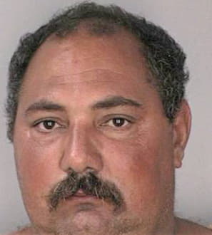 Silva Mario - Hillsborough County, FL 