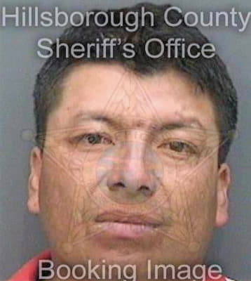 Vasquez Herman - Hillsborough County, FL 