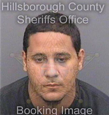 Polancotobal Luis - Hillsborough County, FL 