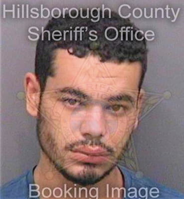 Reeves Derrick - Hillsborough County, FL 