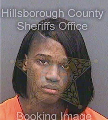 Lee-Brown Joseph - Hillsborough County, FL 