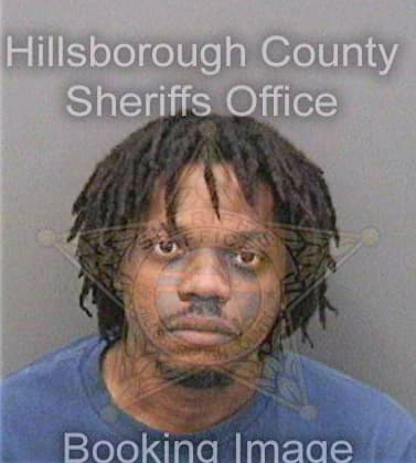 Sherin Elric - Hillsborough County, FL 