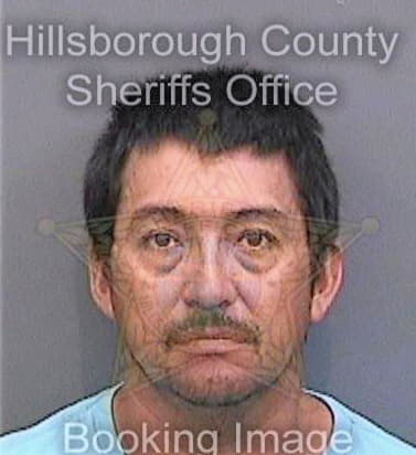 Carreramartinez Fabian - Hillsborough County, FL 