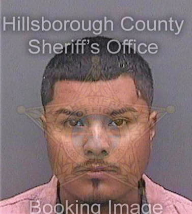 Hernandez Jesus - Hillsborough County, FL 