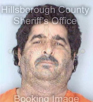 Hughes Lewis - Hillsborough County, FL 