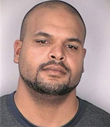 Mejias Agustin - Hillsborough County, FL 