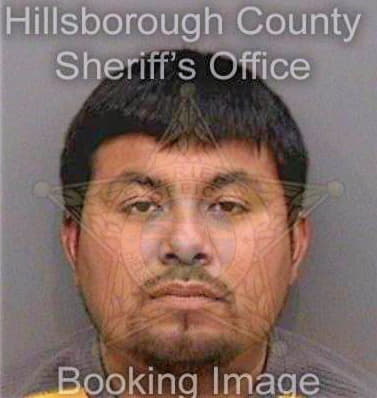 Perezsantiago Pedro - Hillsborough County, FL 