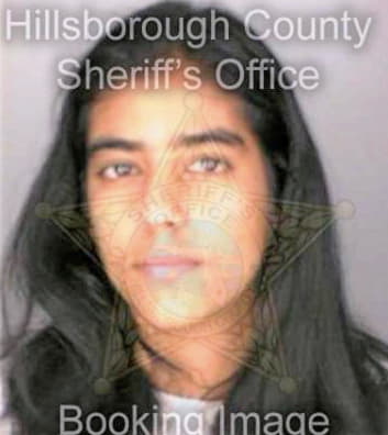 Santiago Michelle - Hillsborough County, FL 