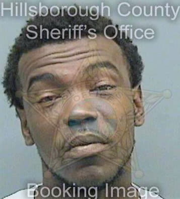 Black Lee - Hillsborough County, FL 