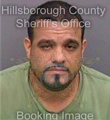 Gonzalez Raymond - Hillsborough County, FL 