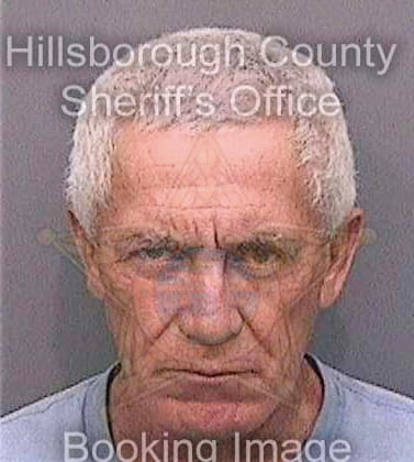 Fernandezperez Ruben - Hillsborough County, FL 