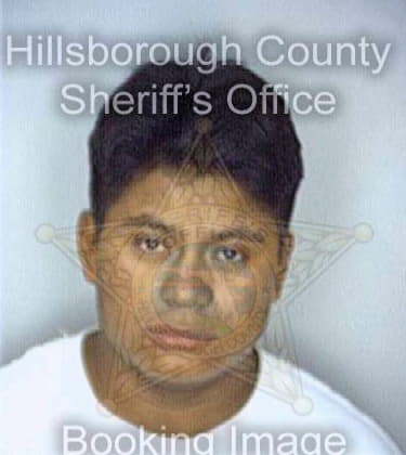 Diaz Diego - Hillsborough County, FL 