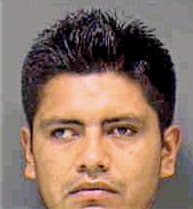 Limon Jorge - Sarasota County, FL 