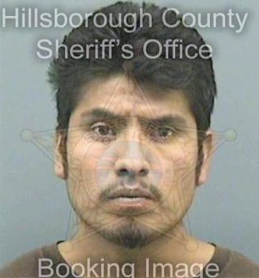 Valenciahernandez Nicholas - Hillsborough County, FL 