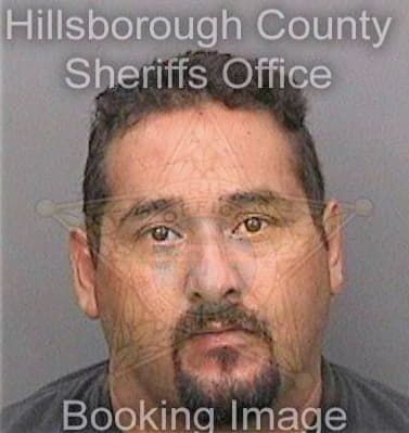 Guerra Stephen - Hillsborough County, FL 