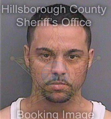 Martin Johnny - Hillsborough County, FL 