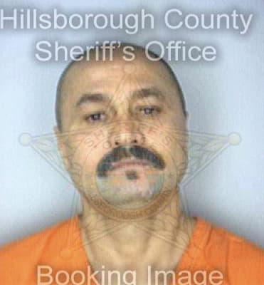 Garcia Emilio - Hillsborough County, FL 