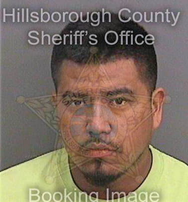 Gonzalezhernandez Noe - Hillsborough County, FL 