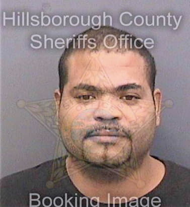 Silva-Rodriguez Hector - Hillsborough County, FL 