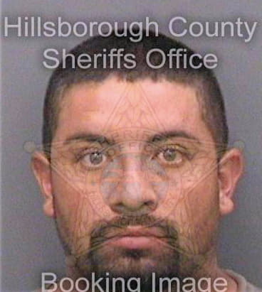 Riossalazar Daniel - Hillsborough County, FL 