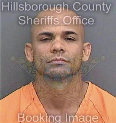 Duran Osmiel - Hillsborough County, FL 