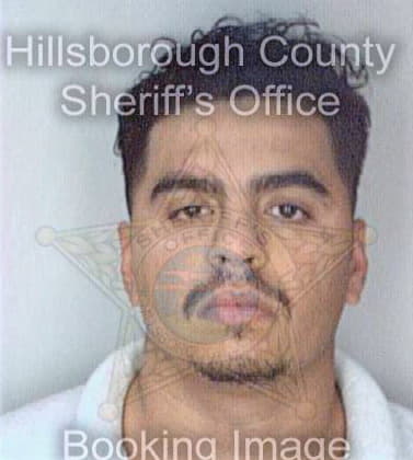 Garcia Lee - Hillsborough County, FL 