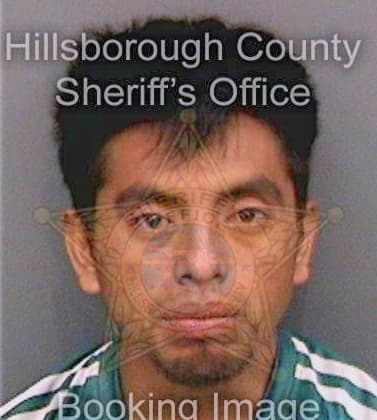 Ortizsalas Reynaldo - Hillsborough County, FL 