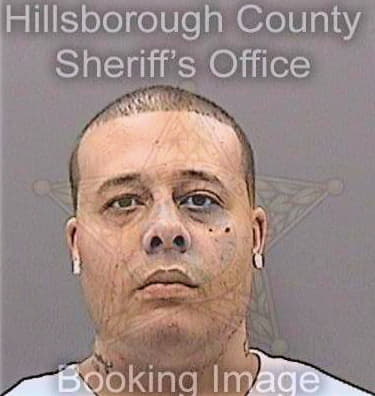 Miles Michael - Hillsborough County, FL 