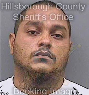 Mills Mario - Hillsborough County, FL 