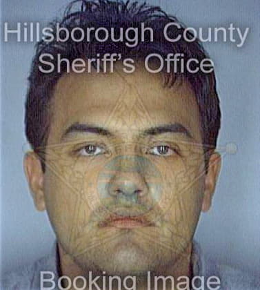 Perez Alejandro - Hillsborough County, FL 